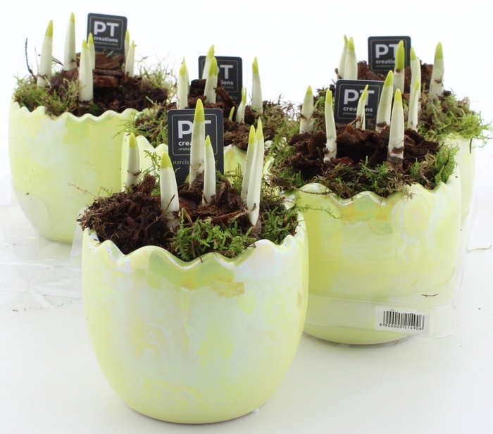 <h4>ARR N TETE A TETE</h4>