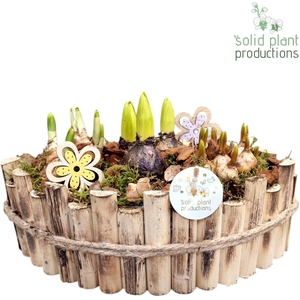 HHTM006 Napoli Large Bolmix