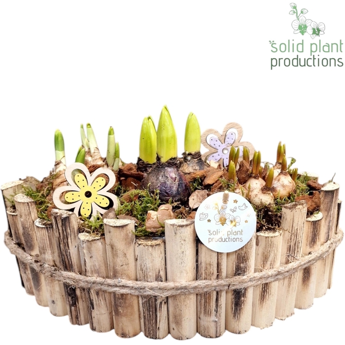 <h4>HHTM006 Napoli Large Bolmix</h4>