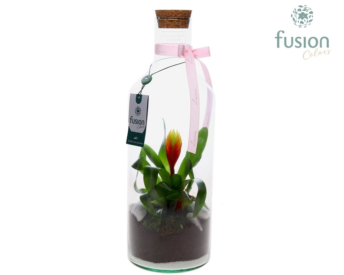 <h4>Green Bottle Fles Medium Love met Bromelia</h4>