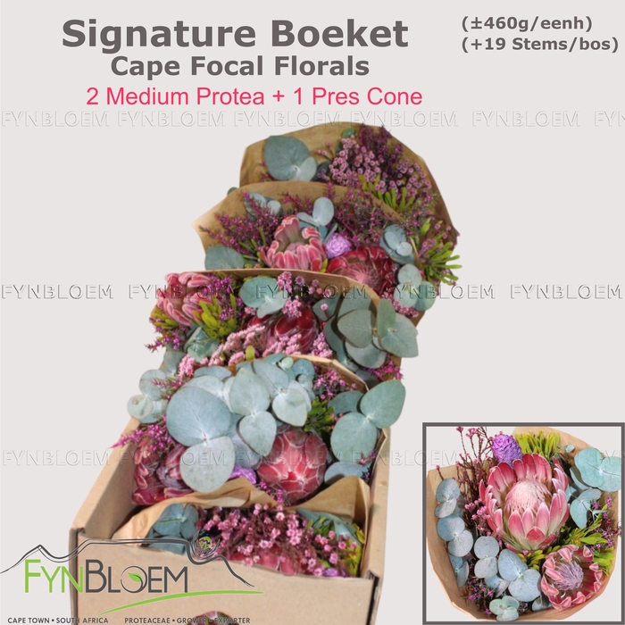 <h4>PROTEA PER BOS</h4>