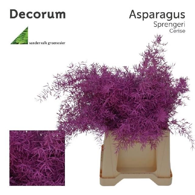 <h4>ASP OV KLB H%</h4>