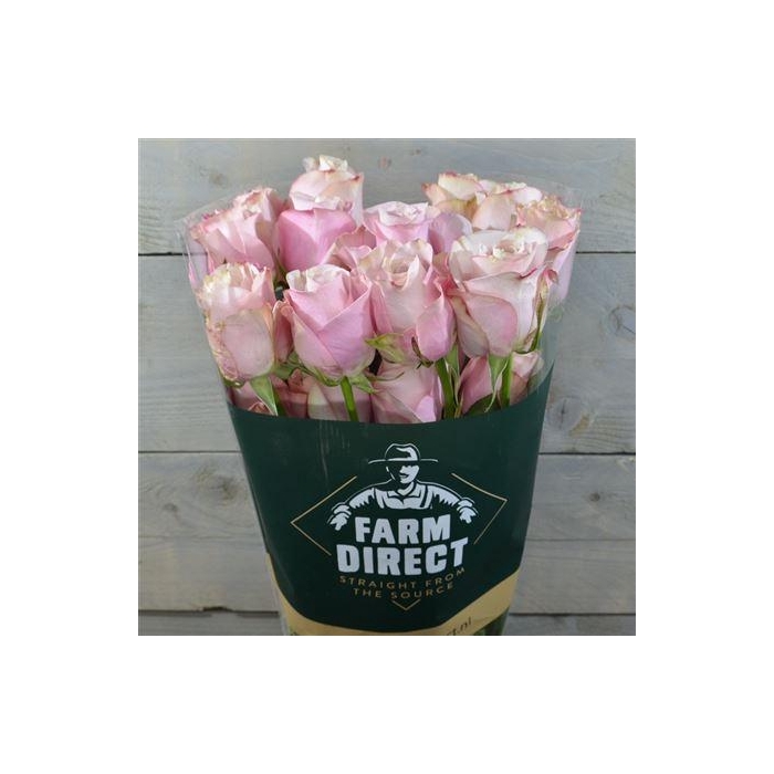 <h4>R Gr Secret Garden</h4>