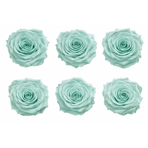 Ro Pres Classic Green Mint