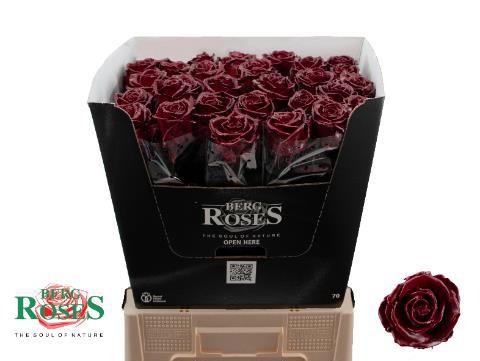 <h4>R GR GEWAXT H%</h4>