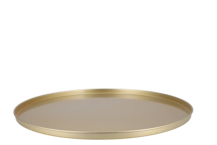 <h4>Coaster Majestic Gold Tray Metal 56x2cm</h4>
