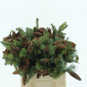 Douglas Pine Cone 45cm