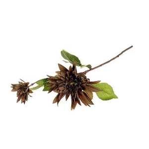 Stem Dahlia Karma L71