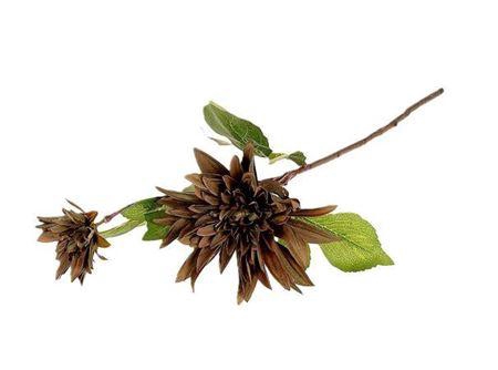 <h4>Stem Dahlia Karma L71</h4>