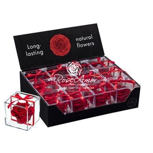 Display Gb14 Red01