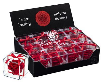 <h4>Display Gb14 Red01</h4>