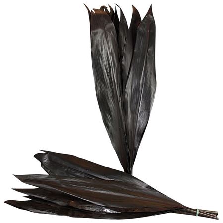 <h4>CORDELINE BLACK TIE 80 CM</h4>