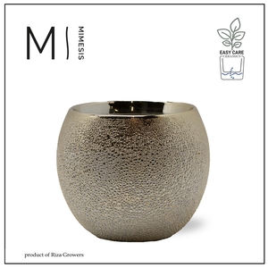 Karma - SOLO POTS - Bubbly gold 12 cm |