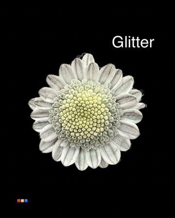 <h4>Chr T Stallion Dusty Grey + Glit Bio</h4>