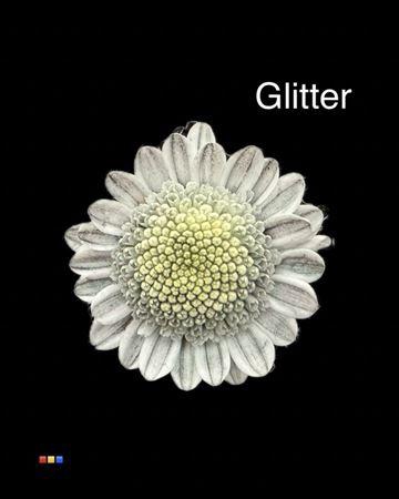 <h4>Chr T Stallion Dusty Grey + Glit Bio</h4>