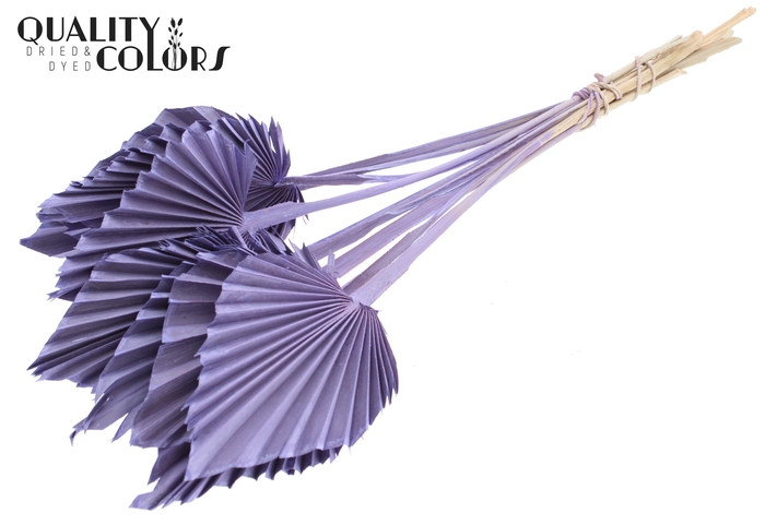 Palm Spear per stem Frosted Milka