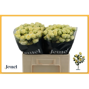 R TR WEDDING INVITE Water