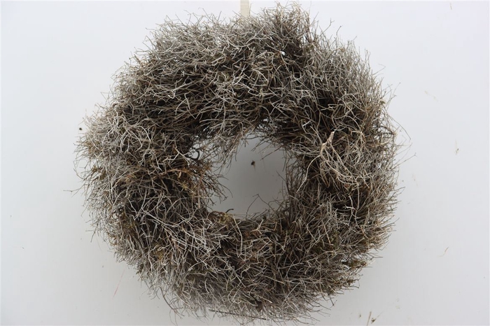 <h4>Wr Iron Grass 30cm Natural</h4>