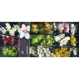 Cymb Tak gemengd x12