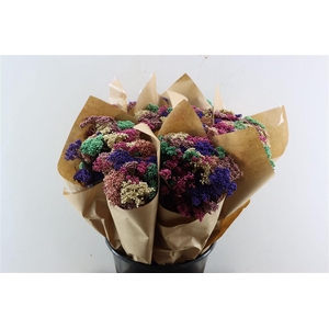 Dried Bqt Riceflower Mix Lila Bunch