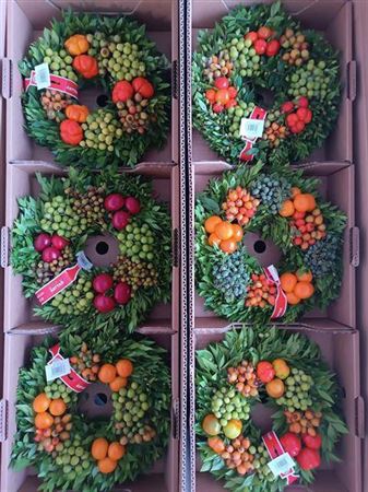 <h4>Wr Sierfruit 30cm (melli)</h4>