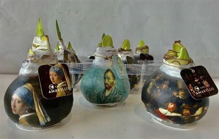 <h4>Bloembol Hipp Rembrandt Design</h4>