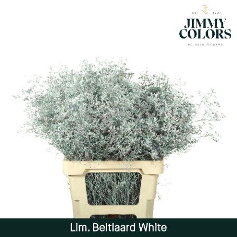 <h4>Lim Bel L70 White</h4>