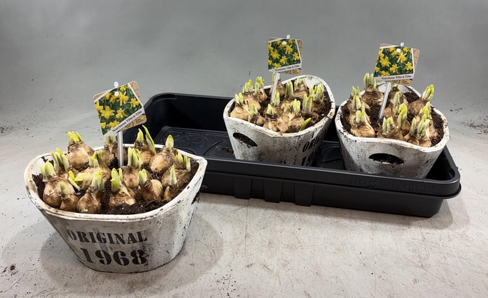 <h4>ARR N TETE A TETE</h4>