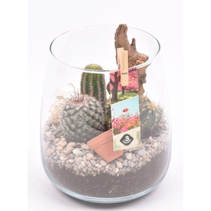 Glas vaas 14cm/ h 17cm