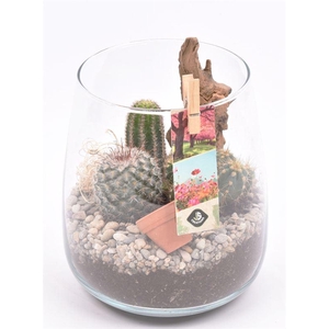 Glas vaas 14cm/ h 17cm