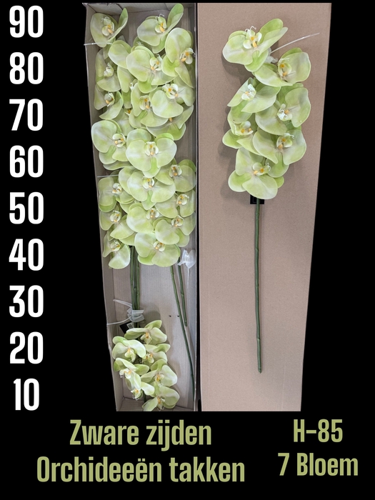 <h4>HUIS EN TUINDECO H%</h4>