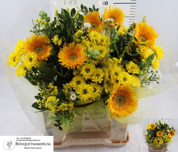 <h4>GEM BOEKET OV</h4>