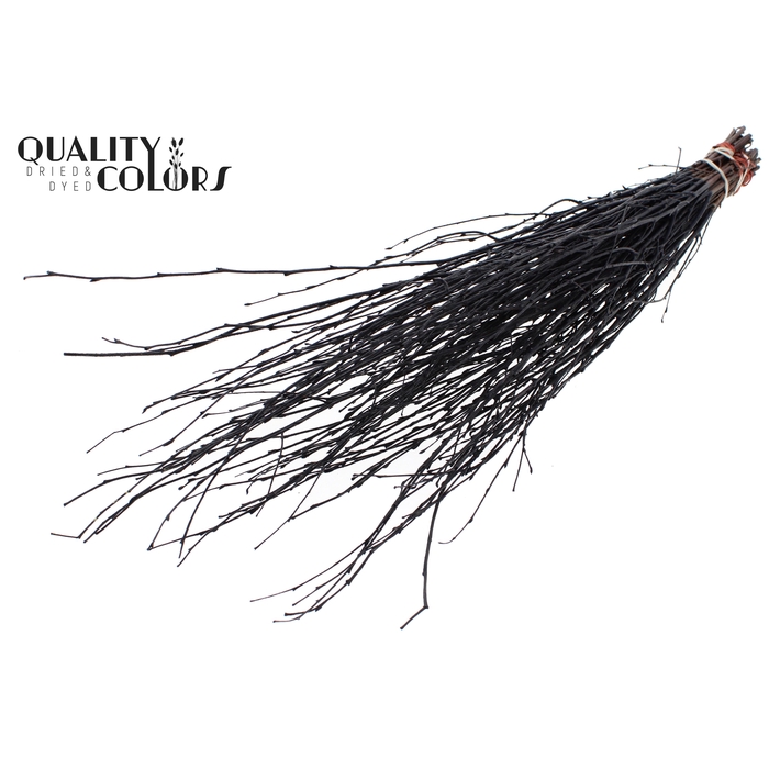 <h4>Birch 70cm 10stems per bunch Black</h4>