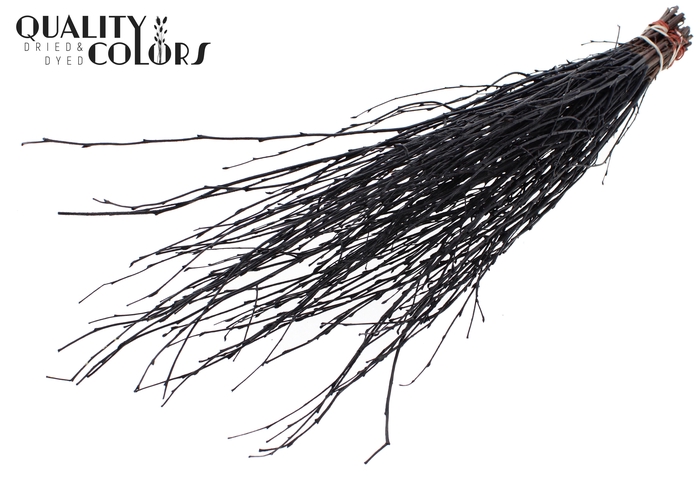 Birch 70cm 10stems per bunch Black