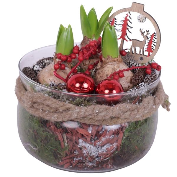<h4>Christmas Arr. Hyacint Glass Bowl with Rope Ø16cm 3PP</h4>