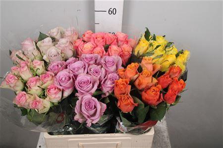 <h4>R Gr Gemengd In Fust</h4>