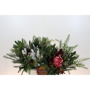 BQ Protea Dotti Portugal