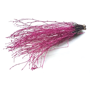 Birch 70cm 10stems per bunch Cerise