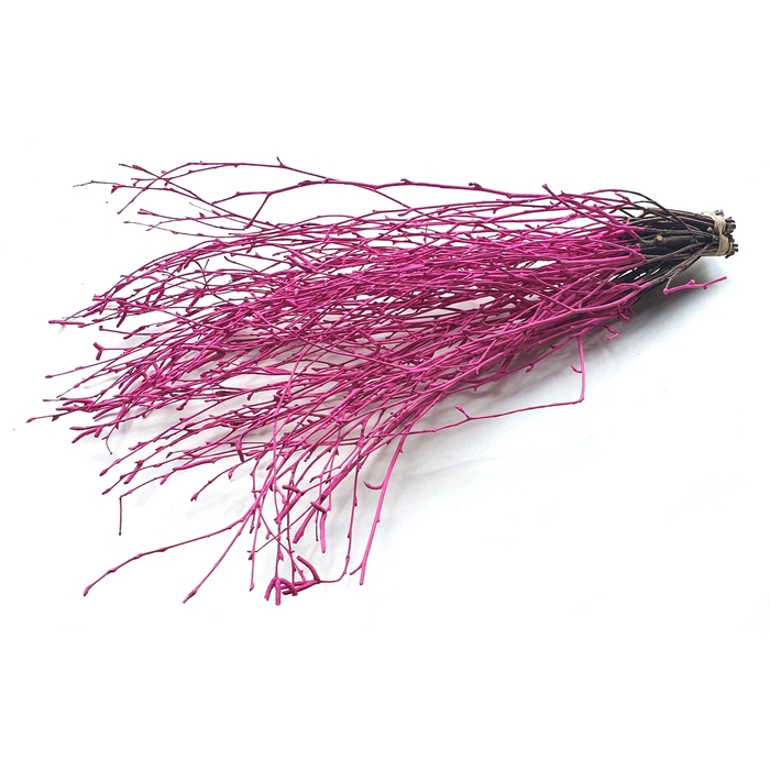 <h4>Birch 70cm 10stems per bunch Cerise</h4>