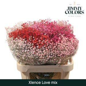 Gyps Xlence L80 Love Mix