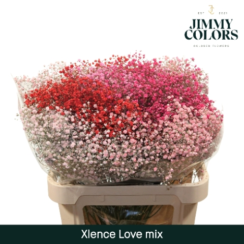 <h4>Gyps Xlence L80 Love Mix</h4>