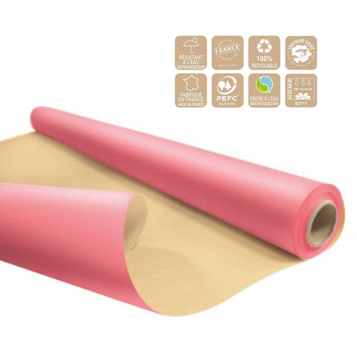<h4>Paper Roll 80cm 25m Eco waterp.</h4>
