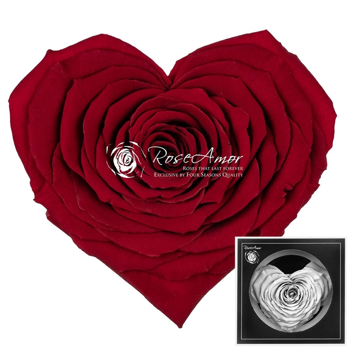 <h4>Corazon Red01</h4>