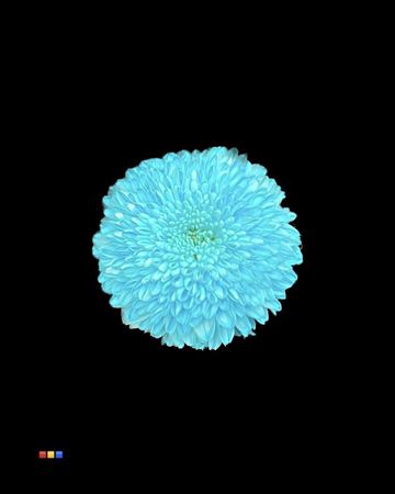 Chr G Superbowl Pastel Blue