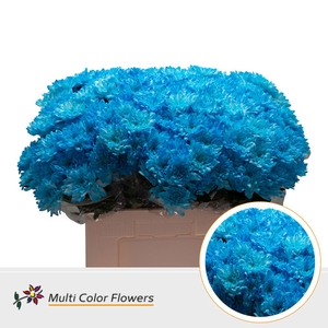 Chr T Baltica Blauw Licht