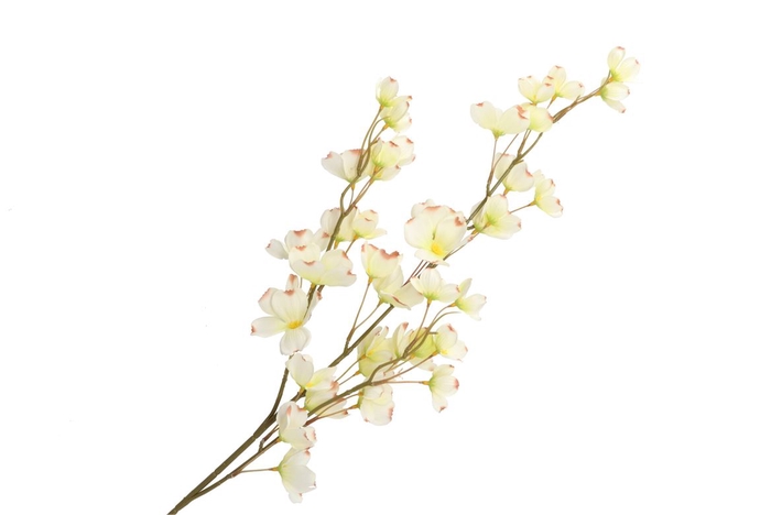 <h4>Silk Wolfberry White 106cm Nm</h4>