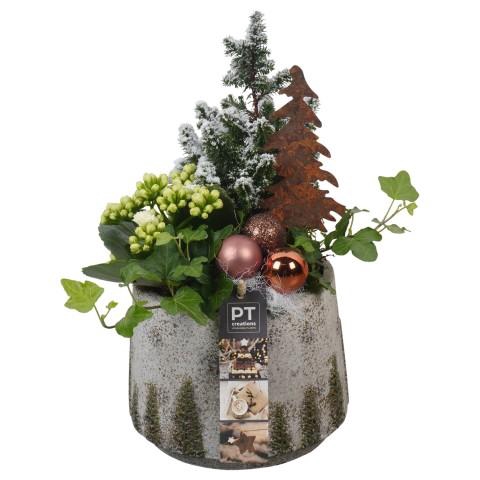 <h4>PTCHB9769 Arrangementen Kerst</h4>