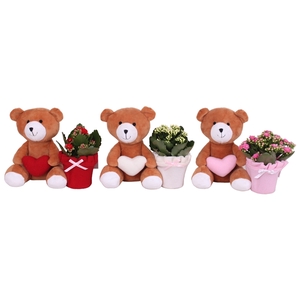 Valentine Arr. Indoor Pluche Teddy Bear with Heart Ø25cm 1PP