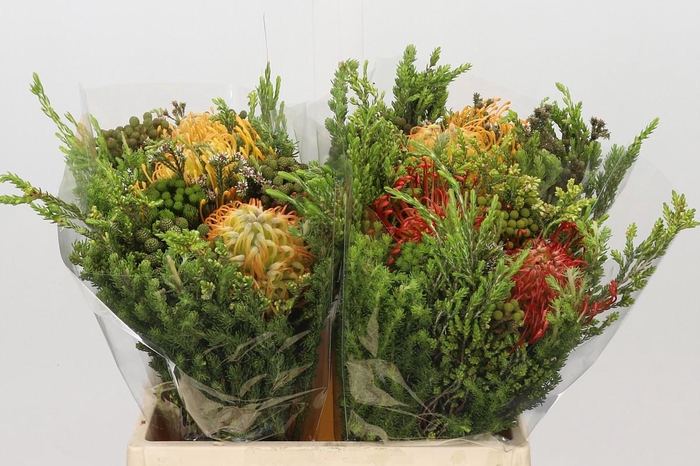 <h4>BQ Nutans 2 Flower</h4>