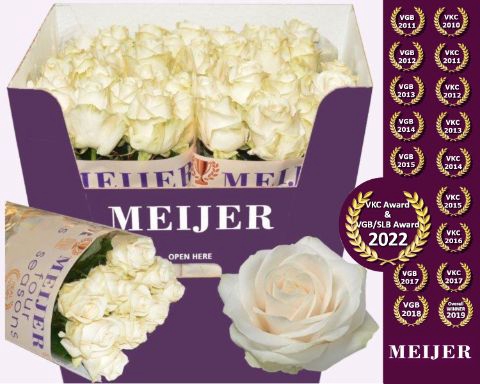 <h4>Rozen Rosa Four Seasons</h4>